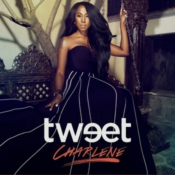 Tweet - Somebody Else Will (feat. Missy Elliott)