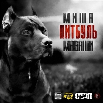 Альбом Питбуль Миша Маваши