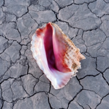 The Killers - The Calling