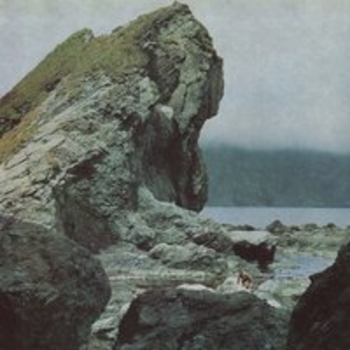 Альбом Many Nights Motorama