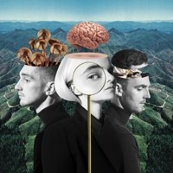 Clean Bandit and Charli XCX, Bhad Bhabie - Playboy Style (What Is Love? 2018)