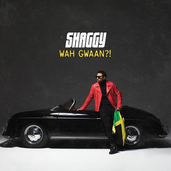Shaggy and Nyanda - Make Up Sex