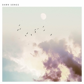 Ben Laver - Temper (Re-Imagined) (Dawn Songs 2020)
