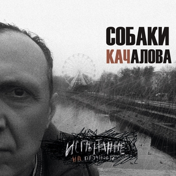Альбом Испытание на прочность Собаки Качалова