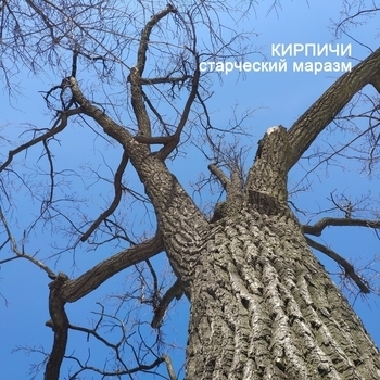 Кирпичи и Заточка - Never Enough