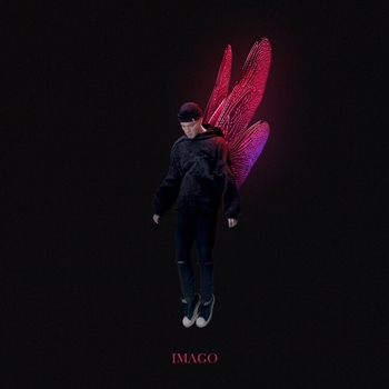 Куок - Quvi (Imago 2022)