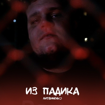 Альбом Из падика Литвиненко