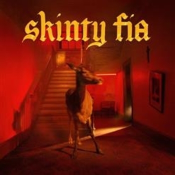 Fontaines D.c. - Skinty Fia (Skinty Fia 2022)
