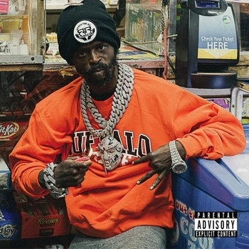Альбом 10 Westside Gunn