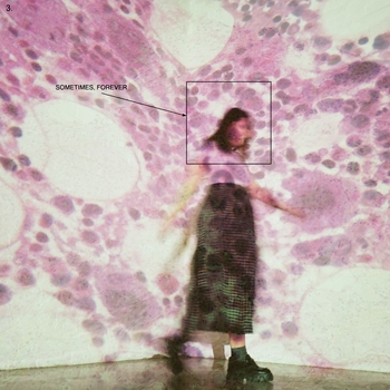 Soccer Mommy - Fire In The Driveway (Sometimes, Forever 2022)