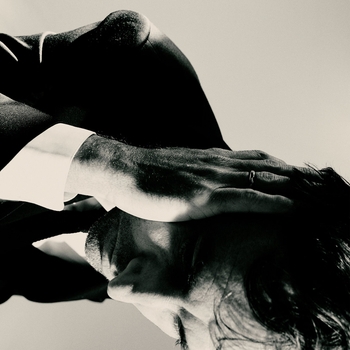 Альбом Inside Problems Andrew Bird