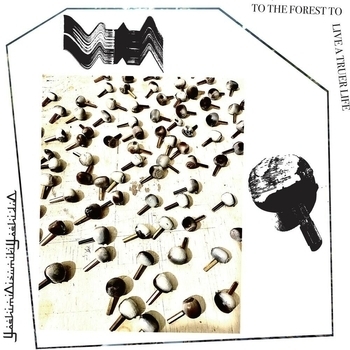 YoshimiOizumikiYoshiduO feat Yoshimio, Kiyoshi Izumi - Sun19 (To The Forest To Live A Truer Life 2023)