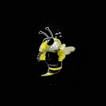 The Iron Bees - Мы ебали всё на свете (Хулиганы 2023)