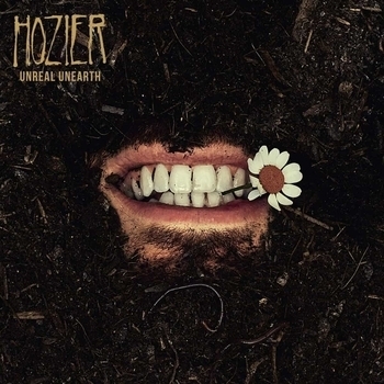 Hozier feat Brandi Carlile - Damage Gets Done (2023)