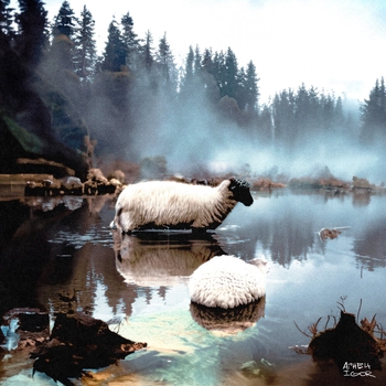 Альбом Агнец Igor