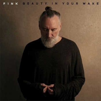 Fink - What Would You Call Yourself