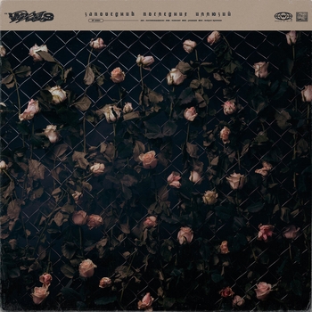 Wlvs - Рецидив