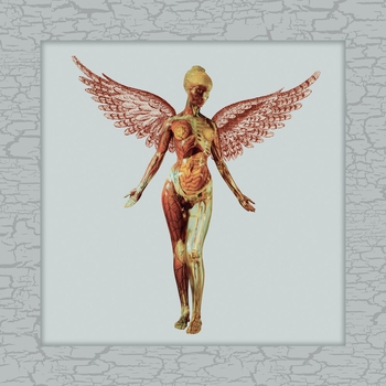 Альбом In Utero Nirvana