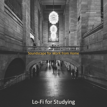 Lo-Fi for Studying - Bgm for Sleepless Nights (Soundscape for Work from Home 2020)