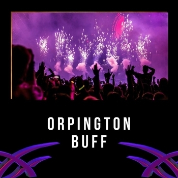LofiCentral - To the Moon (Orpington Buff 2022)