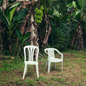 Bad Bunny - Nuevayol (Debi Tirar Mas Fotos 2025)