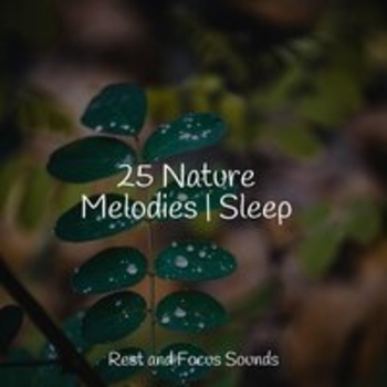 Sleep Baby Sleep, Música De Relajación Para Dormir Profundamente, Relaxed Minds - Tumbling Outward