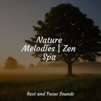 Entspannungsmusik, Música Zen Relaxante, Study Music - That Inner Journey
