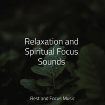 Música Zen Relaxante, Study Music, Alpha Waves - Steady Walking