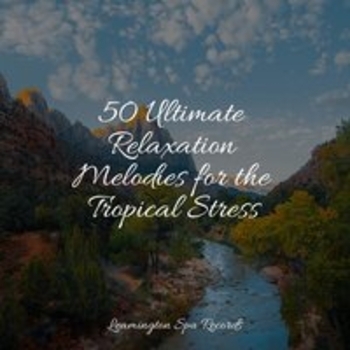 Study Music, Loopable Sounds for Babies, Dr. Meditation - Music for Stress Relief