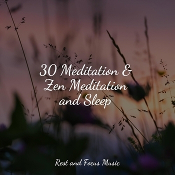 Study Music feat Massage Therapy Music, Relaxation Music Guru - Tranquil Calm (2022)