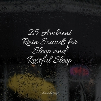 White Noise Sound Garden, Sol y Lluvia, Hipnose Natureza Sons Colecao - Rain While Driving (25 Ambient Rain Sounds for Sleep and Restful Sleep 2022)
