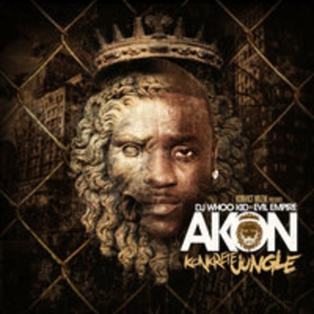 Akon feat Te Money, Fabulous - Salute (Konkrete Jungle 2013)