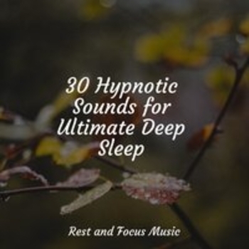 Study Music, Academia de Meditação Buddha, Ruído branco - Next to Me