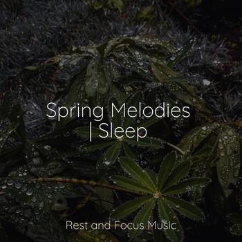 Study Music feat Meditation Zen, Ambient Forest - Harmony of the Heavens (2022)