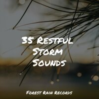 Winds and Oceans, Masters of Binaurality, Study Music - High Ocean Waves