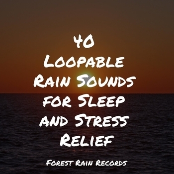 Unforgettable Paradise Spa Music Academy, Nature Noise, Soothing Nature Sounds - Rain and Seagulls (40 Loopable Rain Sounds for Sleep and Stress Relief 2022)
