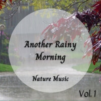 Sleeping Music For Dogs, Dog Music Experience, Study Music - Soothing Rain Noise