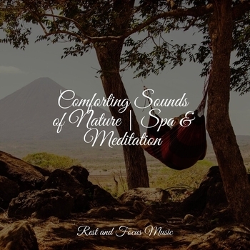 Study Music feat Happy Baby Lullaby Collection, Studying Music - Melody of the Deep (Comforting Sounds of Nature - Spa and Meditation 2022)