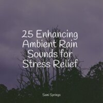 Альбом 25 Enhancing Ambient Rain Sounds for Stress Relief Study Music feat Sounds of Rain and Thunder Storms, Lightning