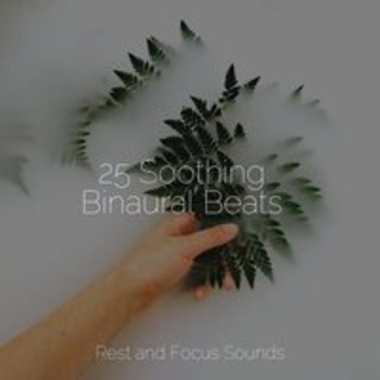 Meditation Zen, Ambient Forest, Study Music - Sonic Soothing