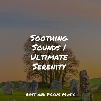 Study Music feat Deep Sleep Music Academy, Reiki Music - Softly Now (2022)