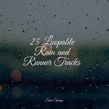 Trouble Sleeping Music Universe, White Noise Relaxation, The White Noise Zen & Meditation Sound Lab - Sound of Storms (25 Loopable Rain and Runner Tracks 2022)