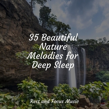 Deep Sleep Music Experience, Music to Relax in Free Time, Massage Therapy Music - Time for Reflection (35 Beautiful Nature Melodies for Deep Sleep 2022)