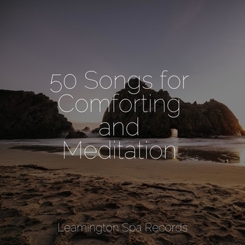 Deep Sleep, Spa, Study Music Library - Chill Before Snoozing (50 Songs for Comforting and Meditation 2022)