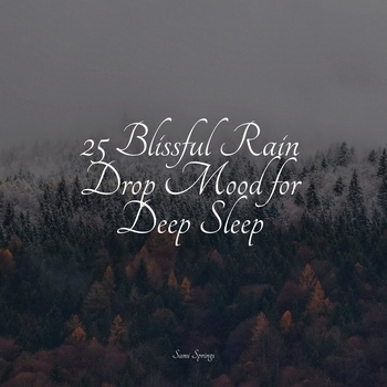 Loopable Sounds for Babies, Shakuhachi Sakano, The Relaxation Principle - High Ocean Waves (25 Blissful Rain Drop Mood for Deep Sleep 2022)