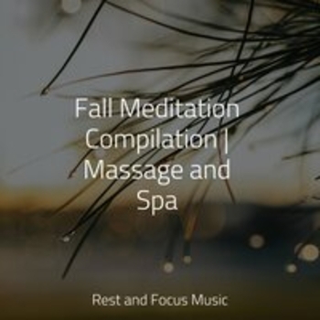 Musica Relaxante, Study Music, Relaxation Sleep Meditation - Peaceful Getaway