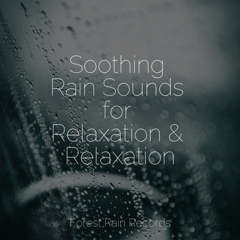 Альбом Soothing Rain Sounds Study Music feat Nature Sounds Nature Music, Relaxation