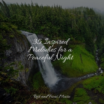 Альбом 35 Inspired Melodies for a Peaceful Night Study Music feat Namaste Healing Yoga, Sounds of Nature White Noise for Mindfulness Meditation and Relaxation