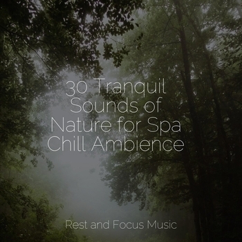 Study Music feat Especialistas de Musica para Dormir, Reiki Tribe - Quiet Horizons (2021)