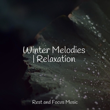 Lullabies for Deep Meditation, The Sleep Specialist, Sleepy Times - Focused (Winter Melodies - Relaxation 2022)